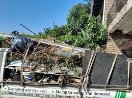 Retail Junk Removal in La Grange, NC